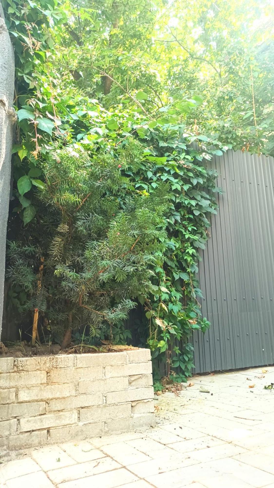Littlehouse- Entire Property For Maximum 4 People Bucareste Exterior foto